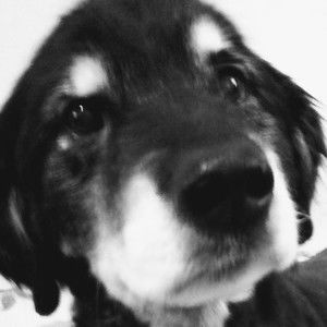 Meet your Posher, Judith